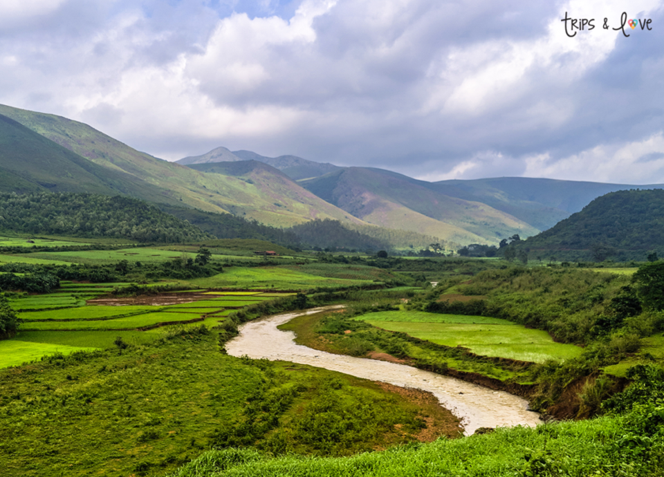 Photo of Deomali: Truly, India’s Best Kept Secret! by Trips & Love