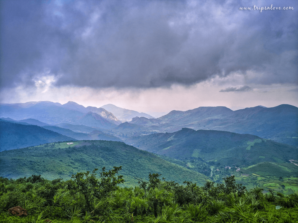 Photo of Deomali: Truly, India’s Best Kept Secret! by Trips & Love