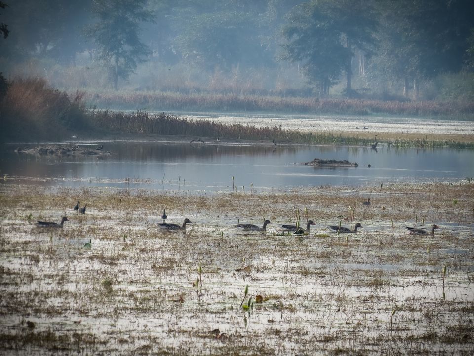 Photo of Paraswada lake@ Gondia by Nikita Saxena
