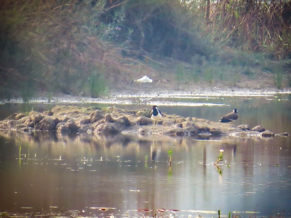 Photo of Paraswada lake@ Gondia by Nikita Saxena