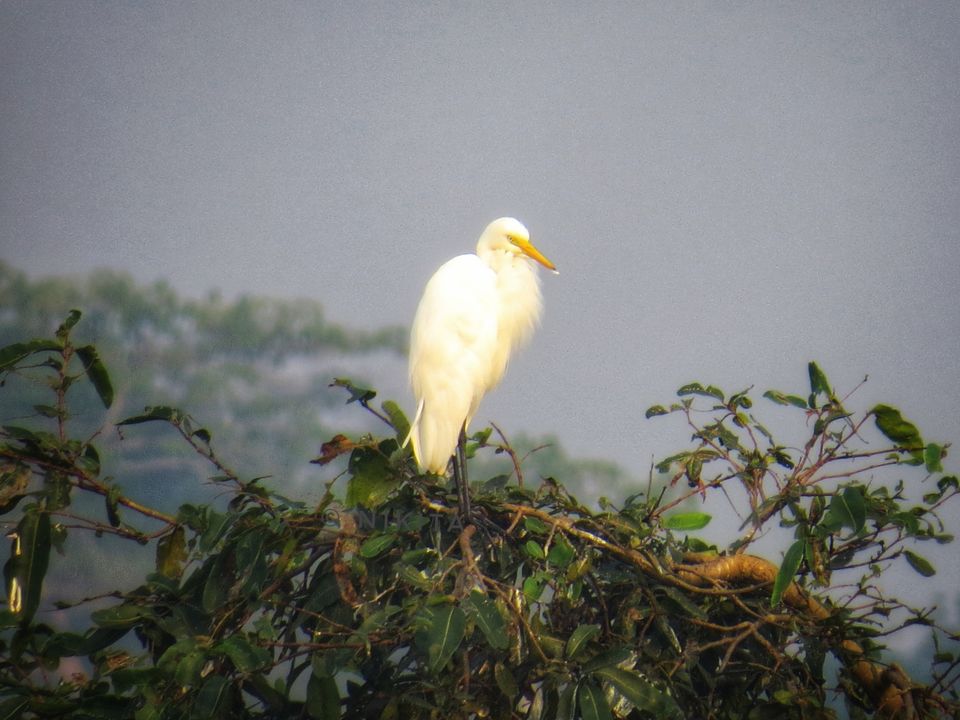 Photo of Paraswada lake@ Gondia by Nikita Saxena
