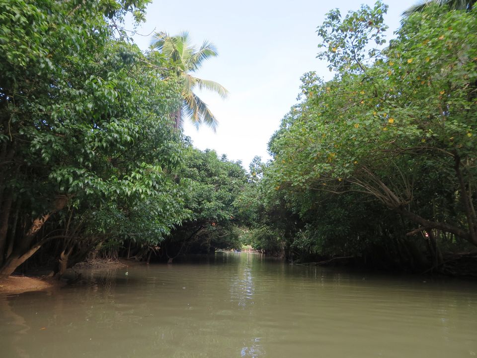Photo of Family trip - God's Own Country and India's southernmost point 6/13 by Vaibhav Khandelwal