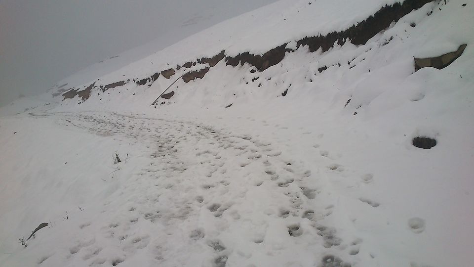 Photo of Unplanned solo backpack trip to Mandi (H.P.), Prashar Lake trek 5/9 by Vaibhav Khandelwal