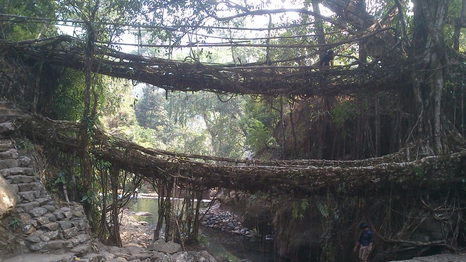 Photo of Solo sojourn – Gangtok, Shillong, Kaziranga 10/12 by Vaibhav Khandelwal
