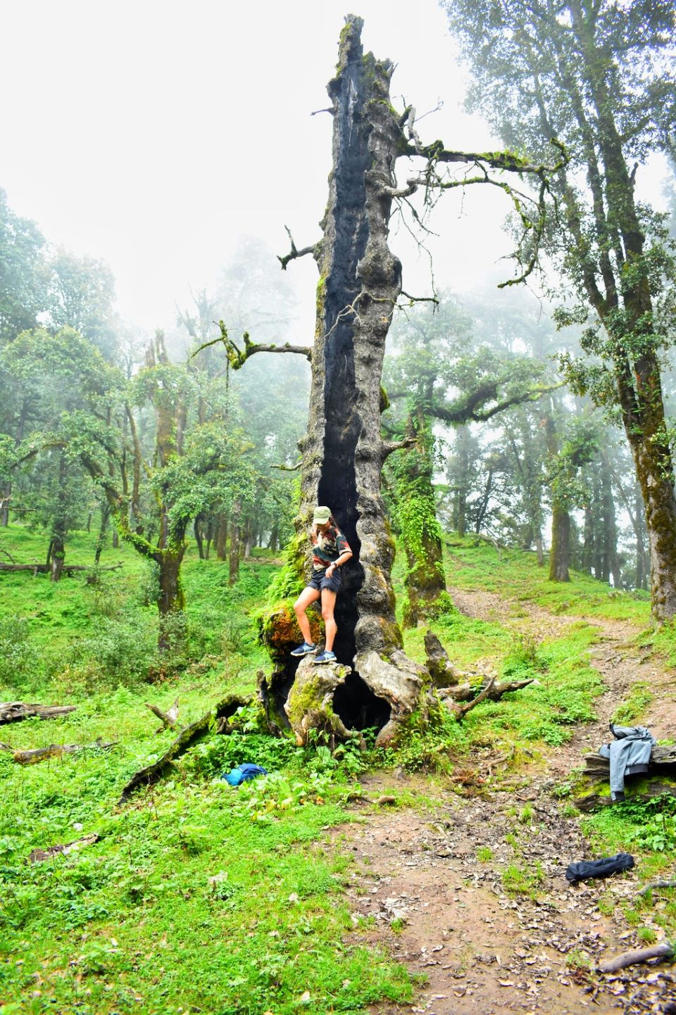 Photo of The unplanned trip (Nag tibba) by Laxmi negi