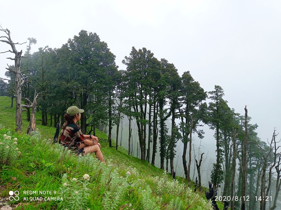 Photo of The unplanned trip (Nag tibba) by Laxmi negi