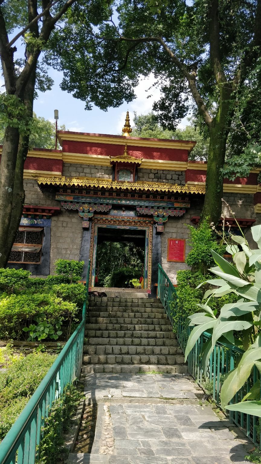 Photo of Solotude - My 1st Solo trip Ever! #BucketList2019 by Akangsha Rawat