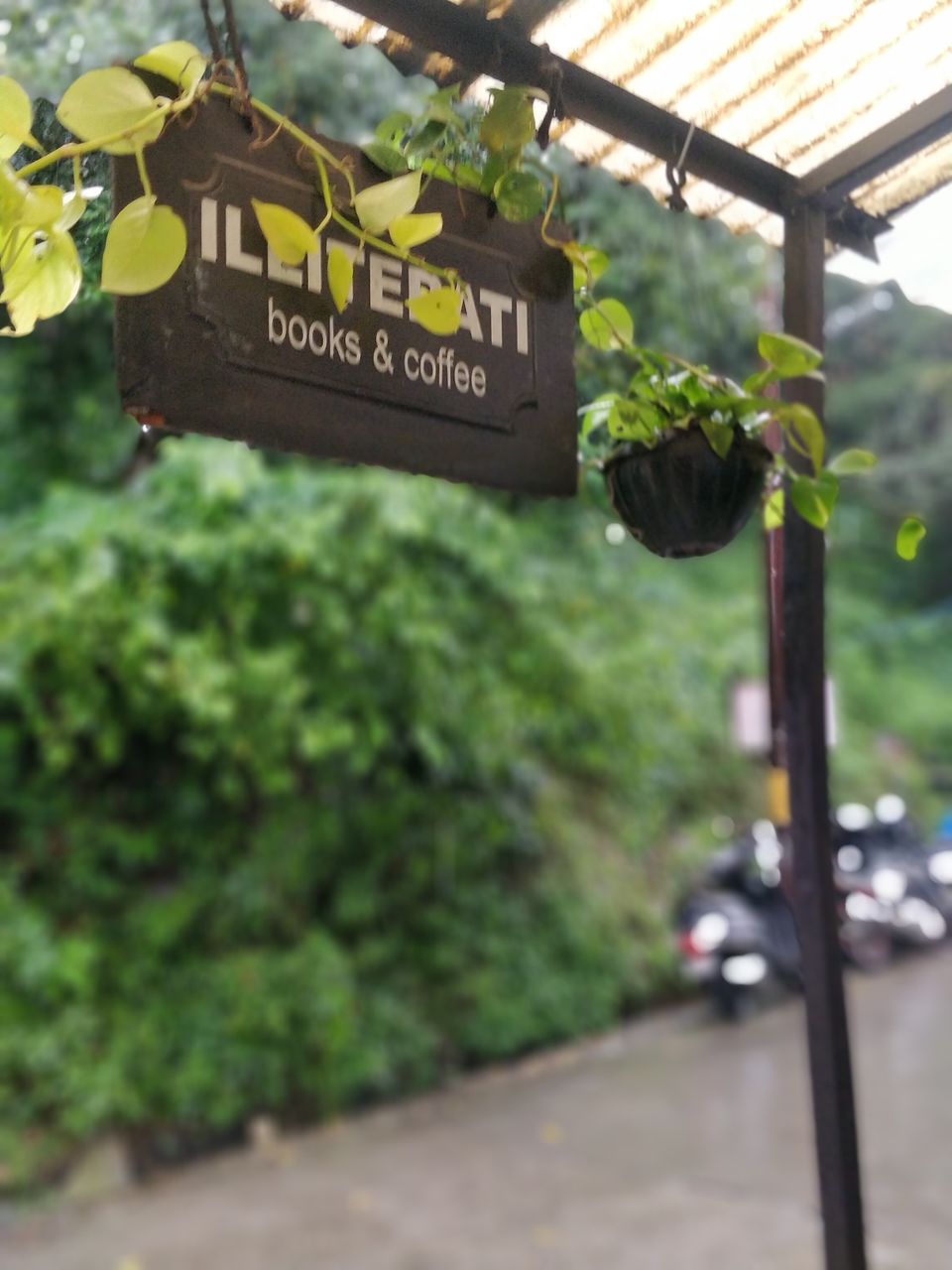Photo of Solotude - My 1st Solo trip Ever! #BucketList2019 by Akangsha Rawat