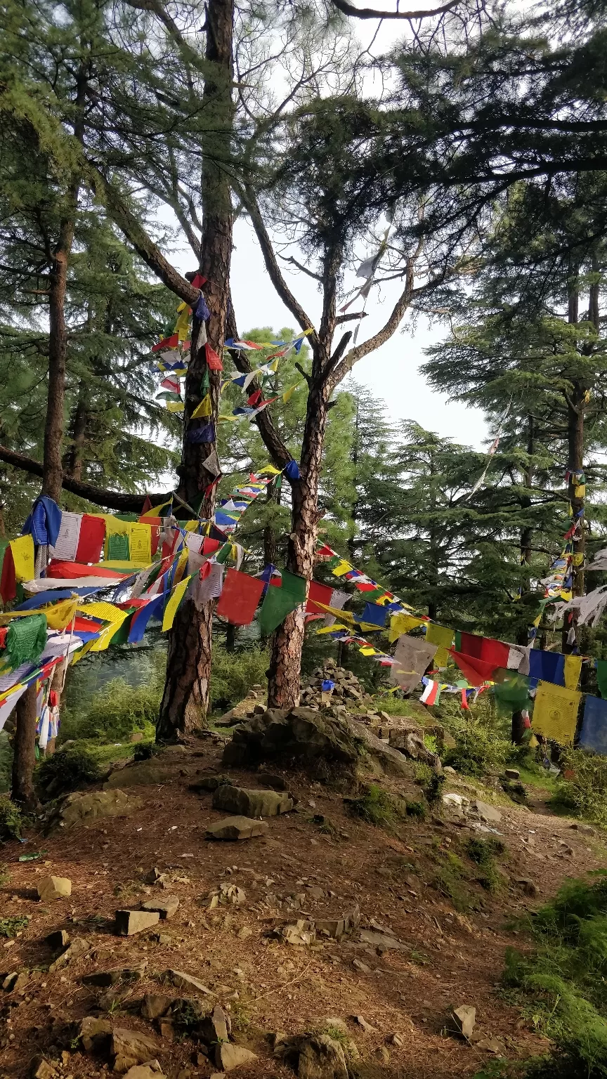 Photo of Solotude - My 1st Solo trip Ever! #BucketList2019 by Akangsha Rawat