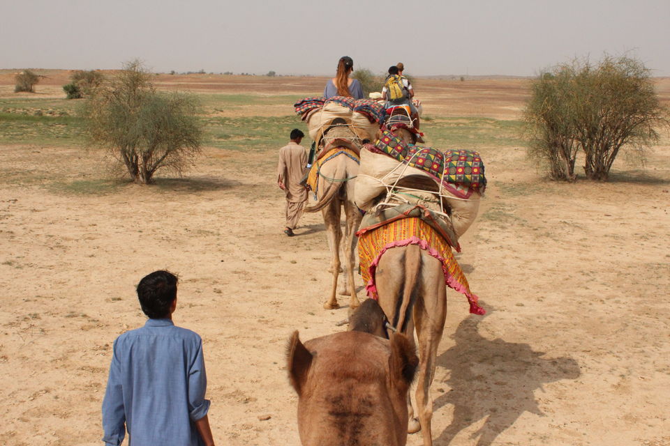 Photo of Thar Desert, Rajasthan, India by Soul Indian Journeys