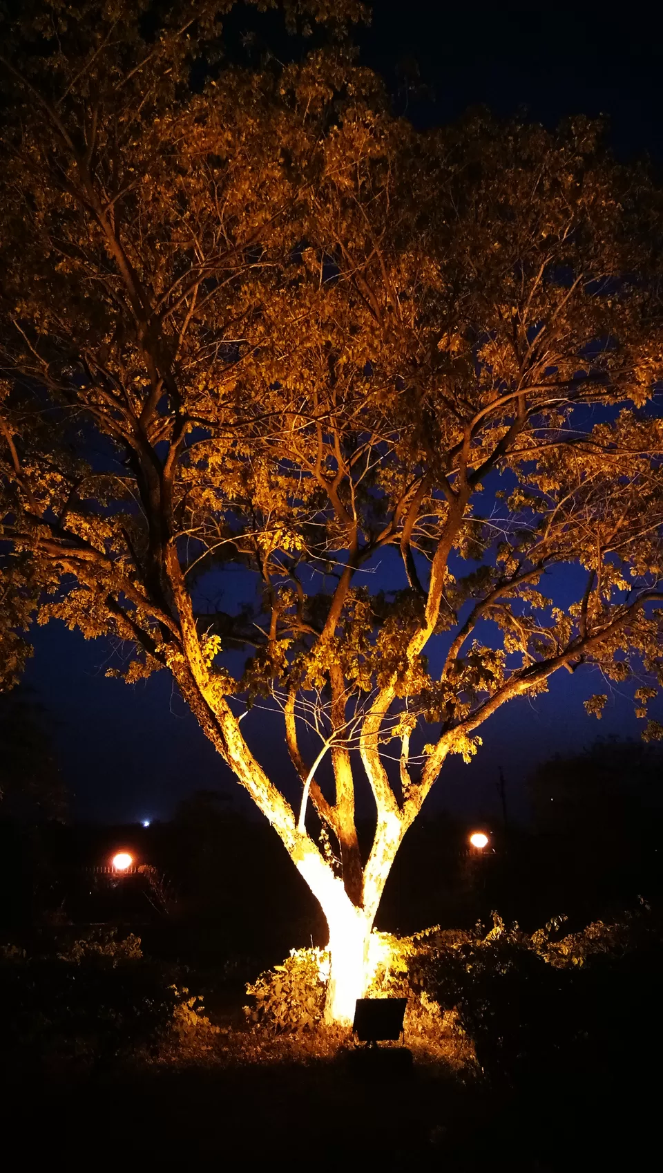 Photo of Shaurya Smarak Bhopal, Bhim Nagar Slums, Arera Hills, Bhopal, Madhya Pradesh, India by TrippyShip