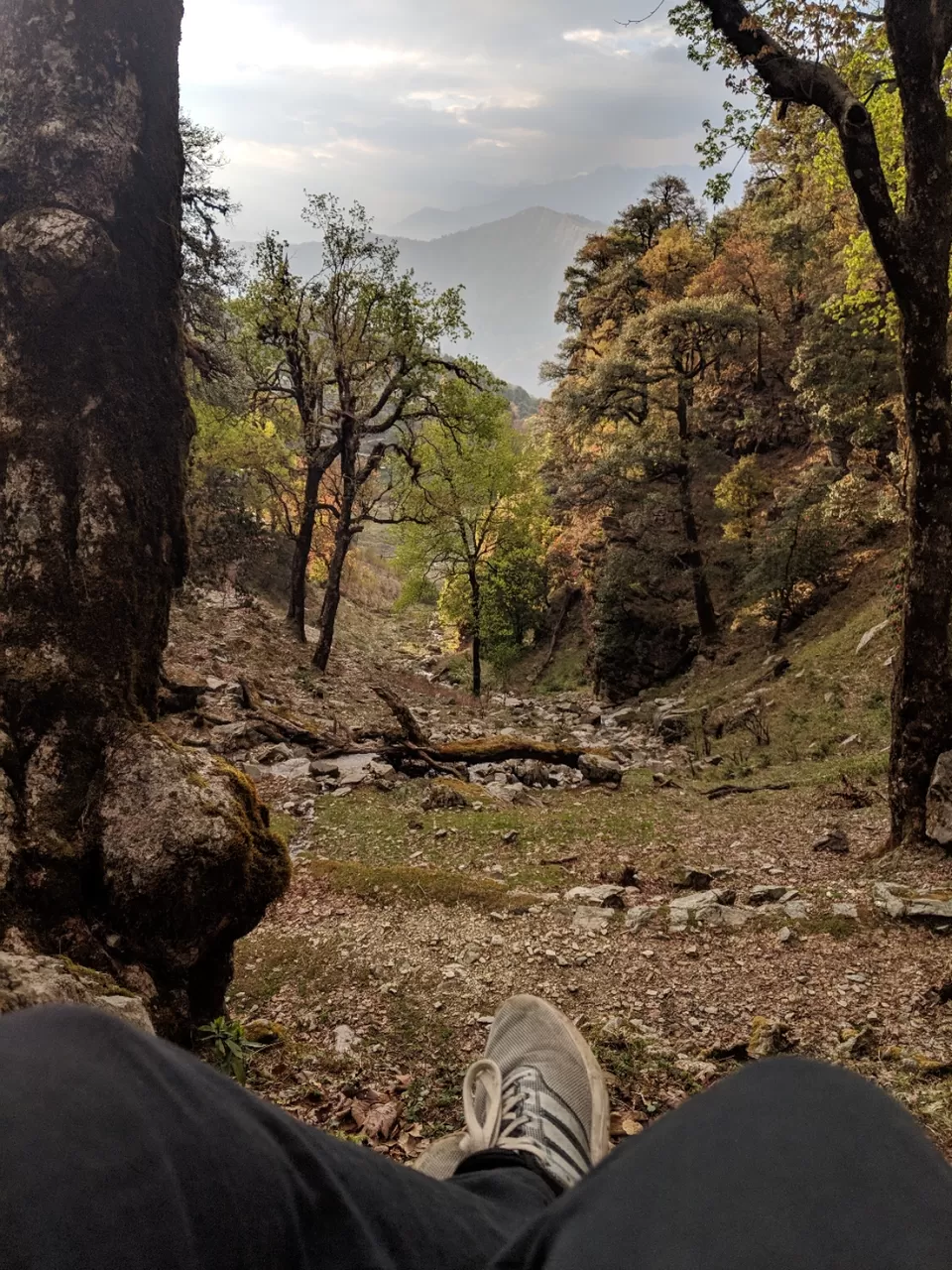 Photo of Chopta Tungnath Chandrashila Trekking, Uttarakhand, India by Dr. Vishal Verma