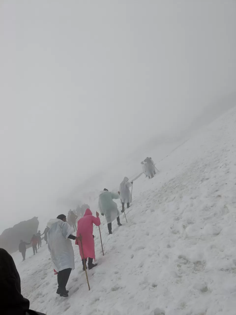 Photo of Trip to Chopta -Tungnath - Deoriatal by Dr. Vishal Verma