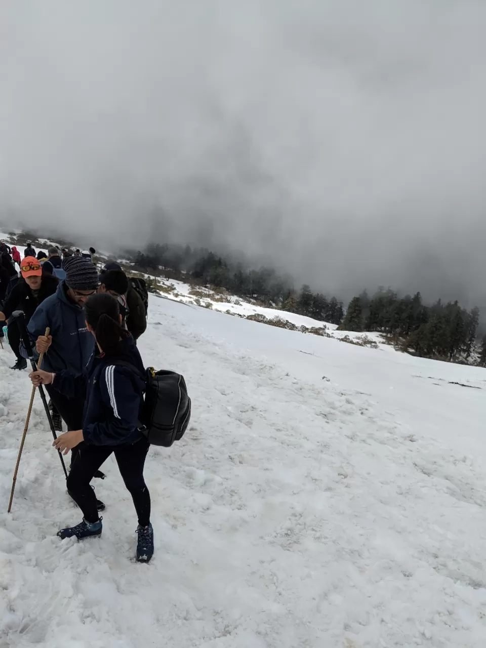 Photo of Trip to Chopta -Tungnath - Deoriatal by Dr. Vishal Verma