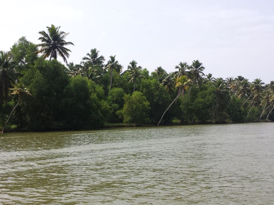 Photo of A Trip to God’s Own Country - Kovalam 1/12 by Proma Bhattacharya