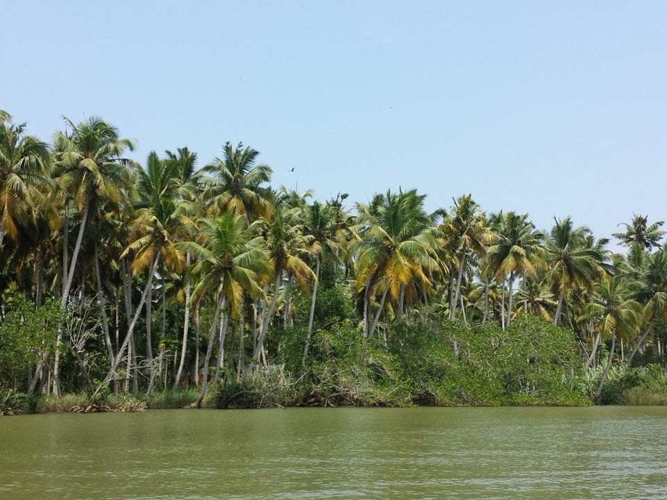 Photo of A Trip to God’s Own Country - Kovalam 6/12 by Proma Bhattacharya