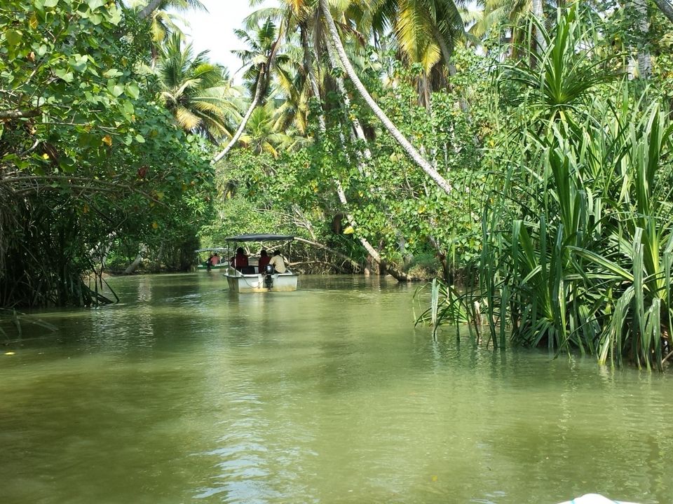 Photo of A Trip to God’s Own Country - Kovalam 3/12 by Proma Bhattacharya