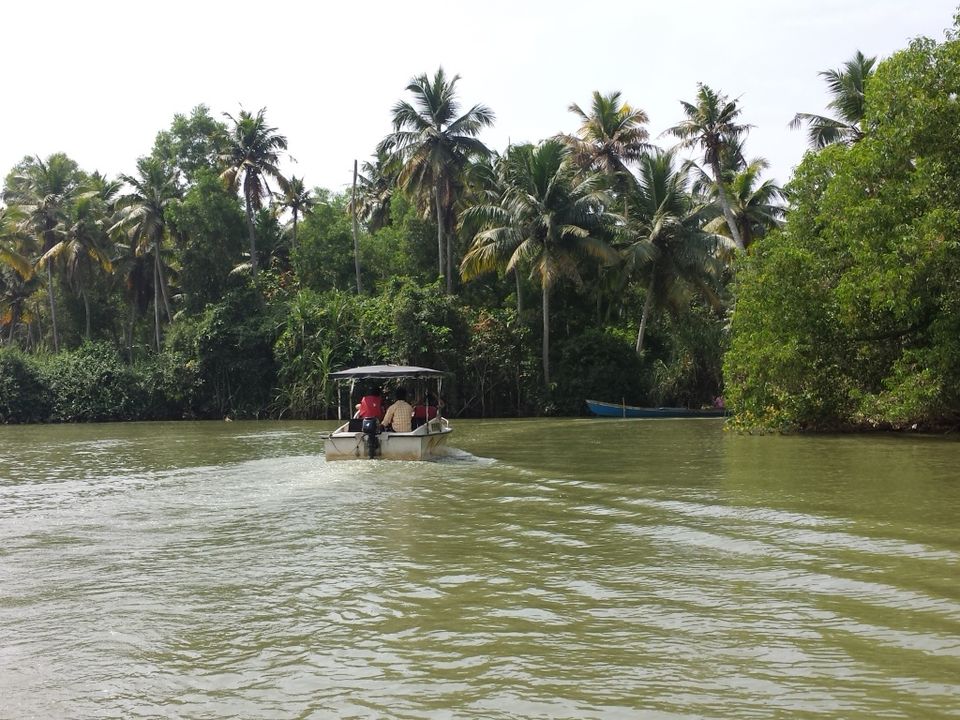 Photo of A Trip to God’s Own Country - Kovalam 2/12 by Proma Bhattacharya