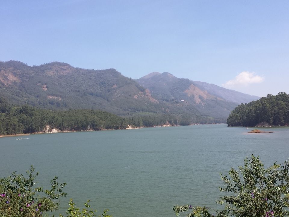 Photo of Munnar: A Magical Experience by Proma Bhattacharya