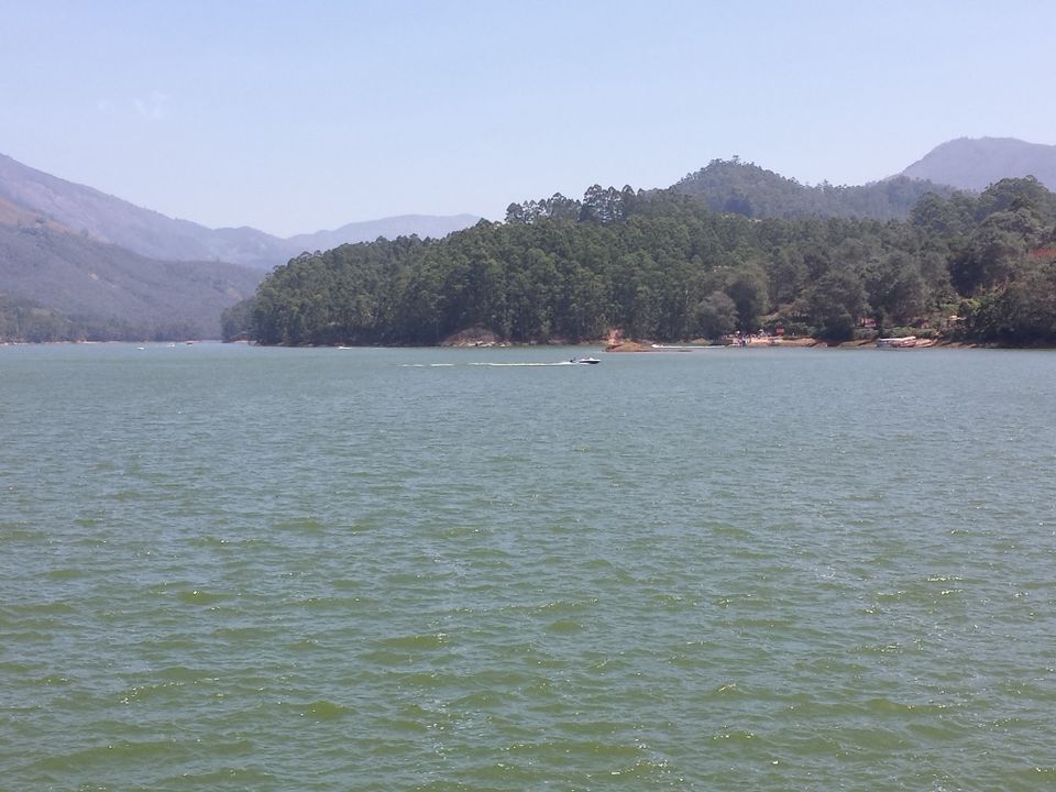 Photo of Munnar: A Magical Experience by Proma Bhattacharya