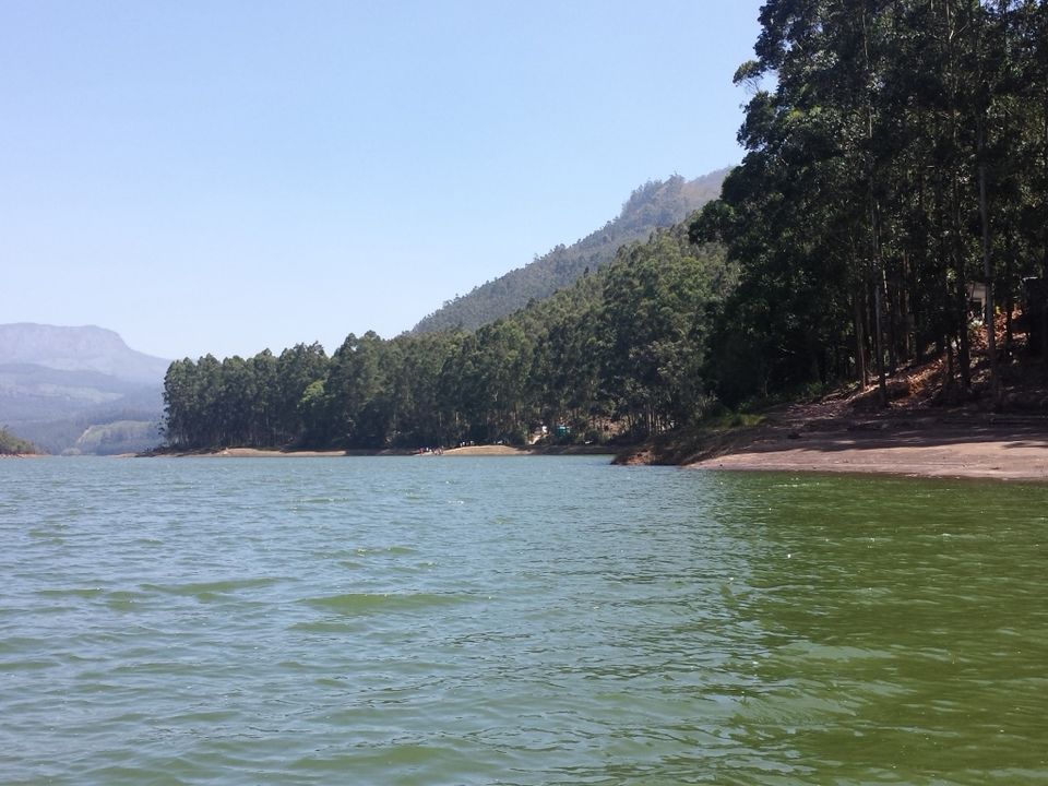Photo of Munnar: A Magical Experience by Proma Bhattacharya