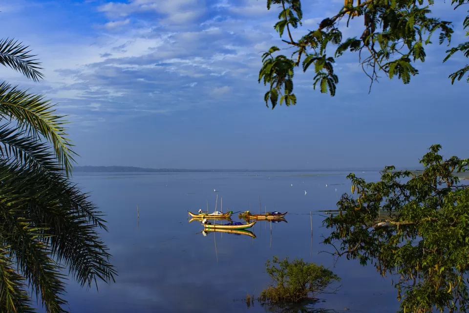 Photo of Morning Tales of Beautiful Buckingham Canal at Marakkanam, India by GOUTHAMKUMAR JANAKIRAMAN