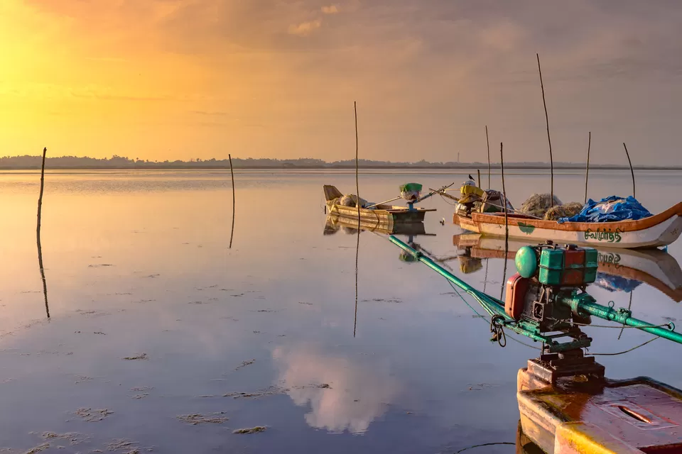 Photo of Morning Tales of Beautiful Buckingham Canal at Marakkanam, India by GOUTHAMKUMAR JANAKIRAMAN
