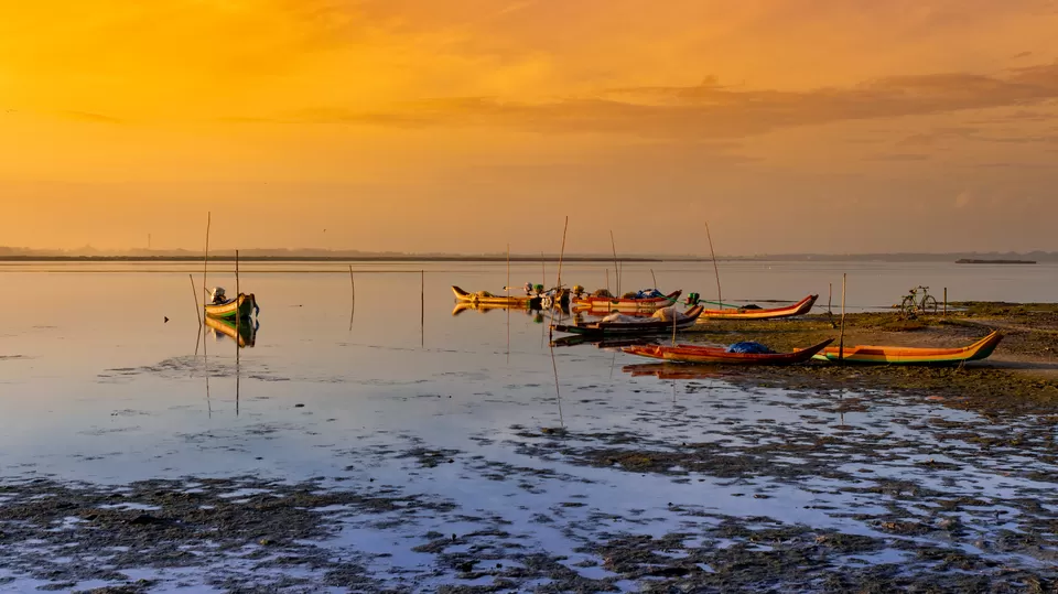 Photo of Morning Tales of Beautiful Buckingham Canal at Marakkanam, India by GOUTHAMKUMAR JANAKIRAMAN