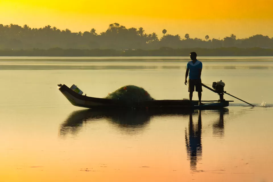 Photo of Morning Tales of Beautiful Buckingham Canal at Marakkanam, India by GOUTHAMKUMAR JANAKIRAMAN