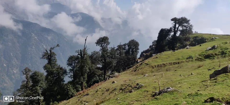 Photo of Triund Trek By Deepak Kumar Patel