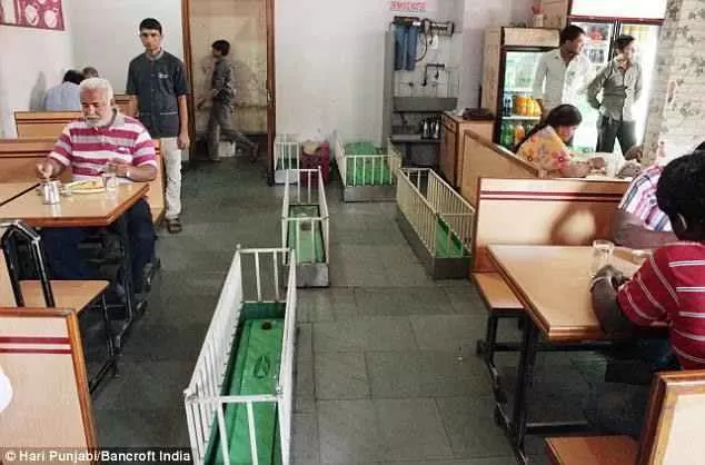 Photo of अहमदाबाद, Gujarat, India by Deeksha