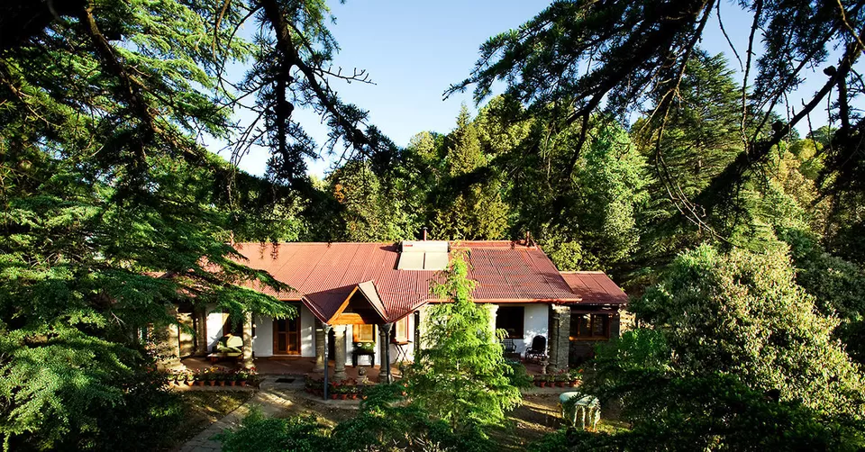 Photo of बिनसर, Uttarakhand, India by Deeksha