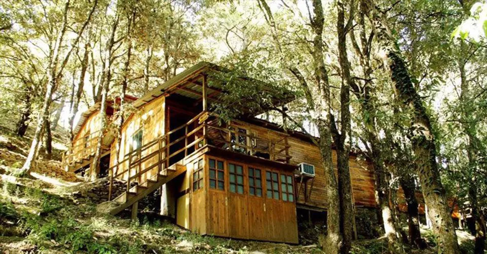 Photo of शोघी, Himachal Pradesh, India by Deeksha