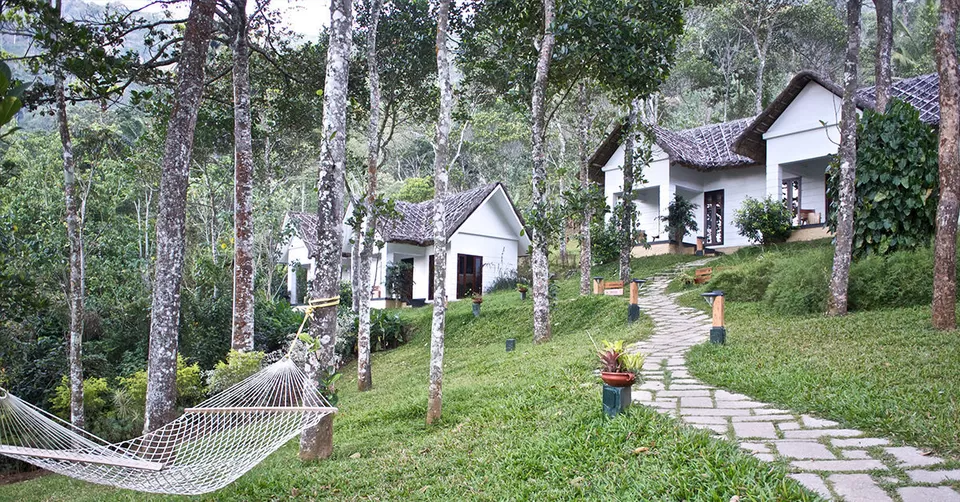 Photo of केरल, India by Deeksha