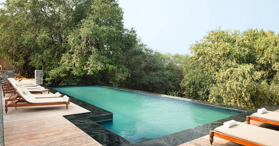 Photo of जयपुर, Rajasthan, India by Deeksha