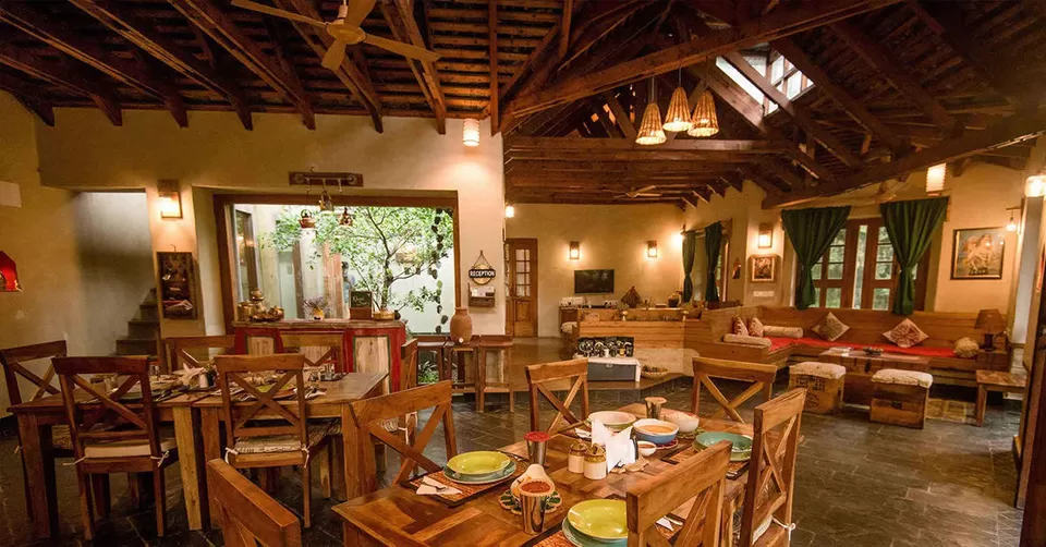 Photo of पालमपुर, Himachal Pradesh, India by Deeksha