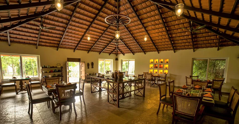 Photo of कोयंबतूर, Tamil Nadu, India by Deeksha