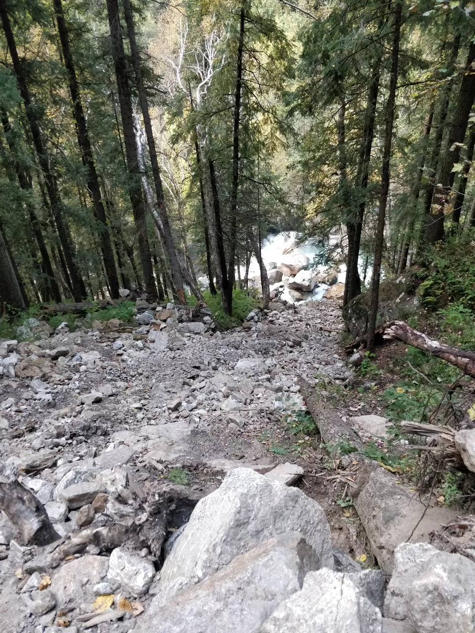 Photo of [Storyline]-Explore Hikes and Treks in Kullu Valley, H.P #OverratedDestination [Part-2] by Piyush Thakur
