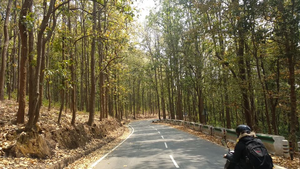 Photo of Jim Corbett National Park, Ramnagar, Uttarakhand, India by kriti rampal
