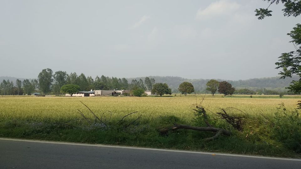 Photo of Jim Corbett National Park, Ramnagar, Uttarakhand, India by kriti rampal