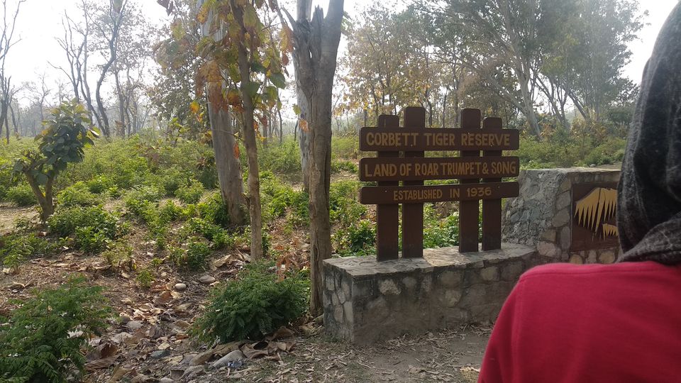Photo of 3 destinations, 3 days & 5 Friends - Backpacking through Nainatal, Jim Corbett & Sattal! by kriti rampal