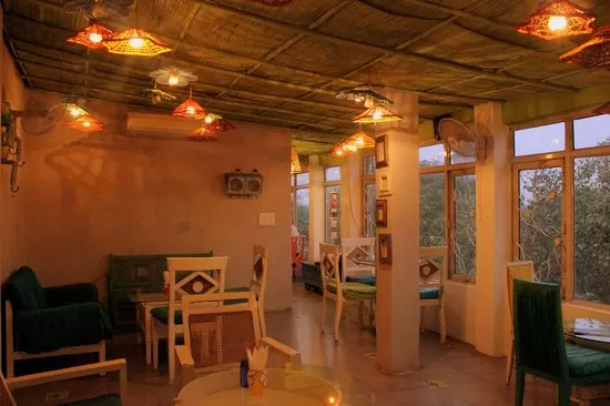 Photo of The Potbelly Rooftop Cafe, Shahpur Jat, Siri Fort, New Delhi, Delhi, India by Mani Mehra