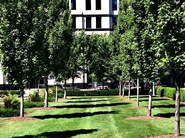Photo of Downtown Louisville Kentucky for Families 6/7 by Brook