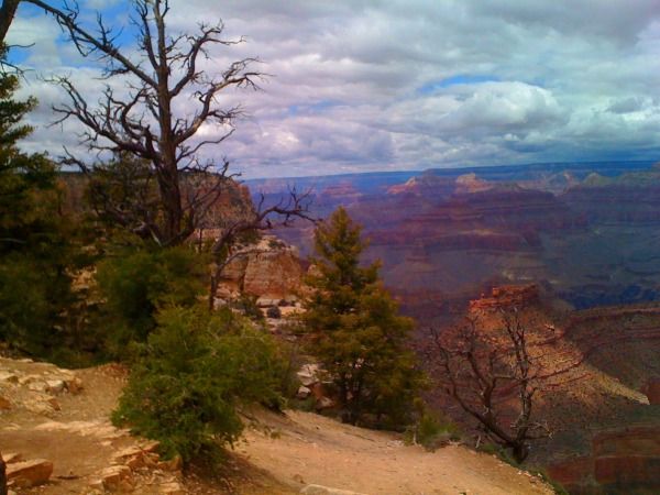 Photo of Attractions in and around Flagstaff, Arizona - Explore the Grand Canyon and Much More! 1/1 by Brook
