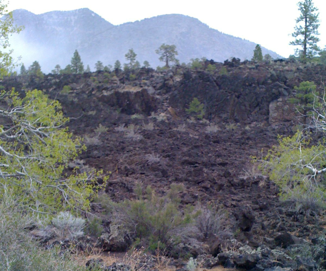 Photo of Attractions in and around Flagstaff, Arizona - Explore the Grand Canyon and Much More! by Brook