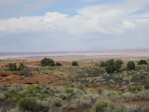 Photo of Attractions in and around Flagstaff, Arizona - Explore the Grand Canyon and Much More! by Brook