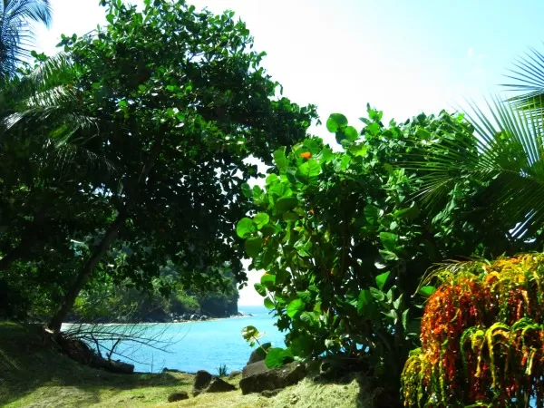 Photo of Grenada by Brook