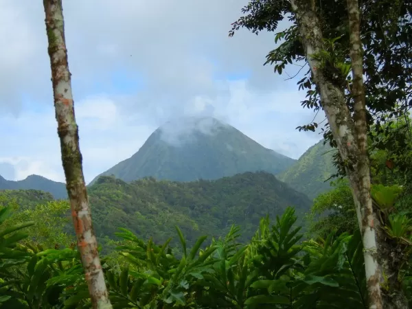 Photo of Martinique by Brook