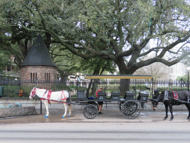 Photo of French Quarter New Orleans by Brook
