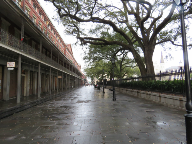 Photo of New Orleans, LA, USA by Brook